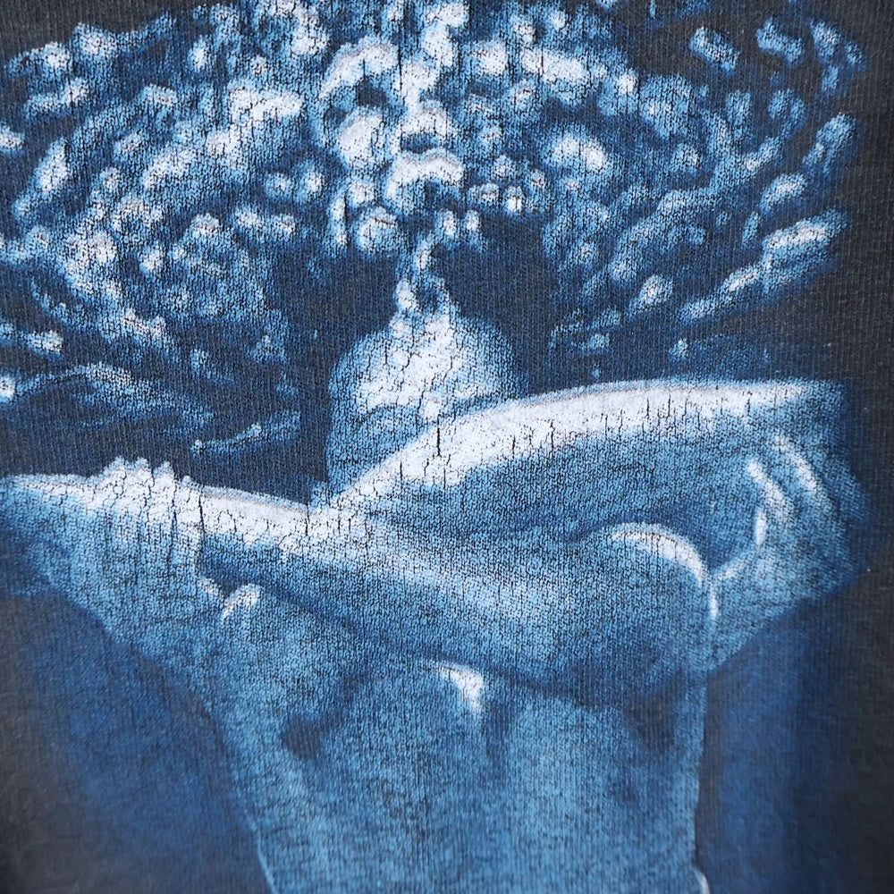 VINTAGE(ヴィンテージ) 90s TOOL AENIMA TEE GIANTボディ トゥール バンド 両面プリント 半袖Tシャツ ブラック