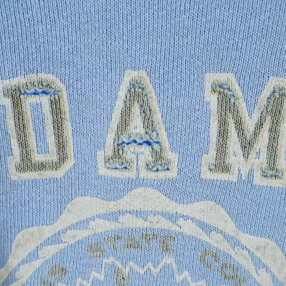 VINTAGE(ヴィンテージ) 50S ADAMS STATE COLLEGE PULLOVER FLOCKY SWEAT アダムス フロッキー プルオーバー スウェット トレーナー ブルー