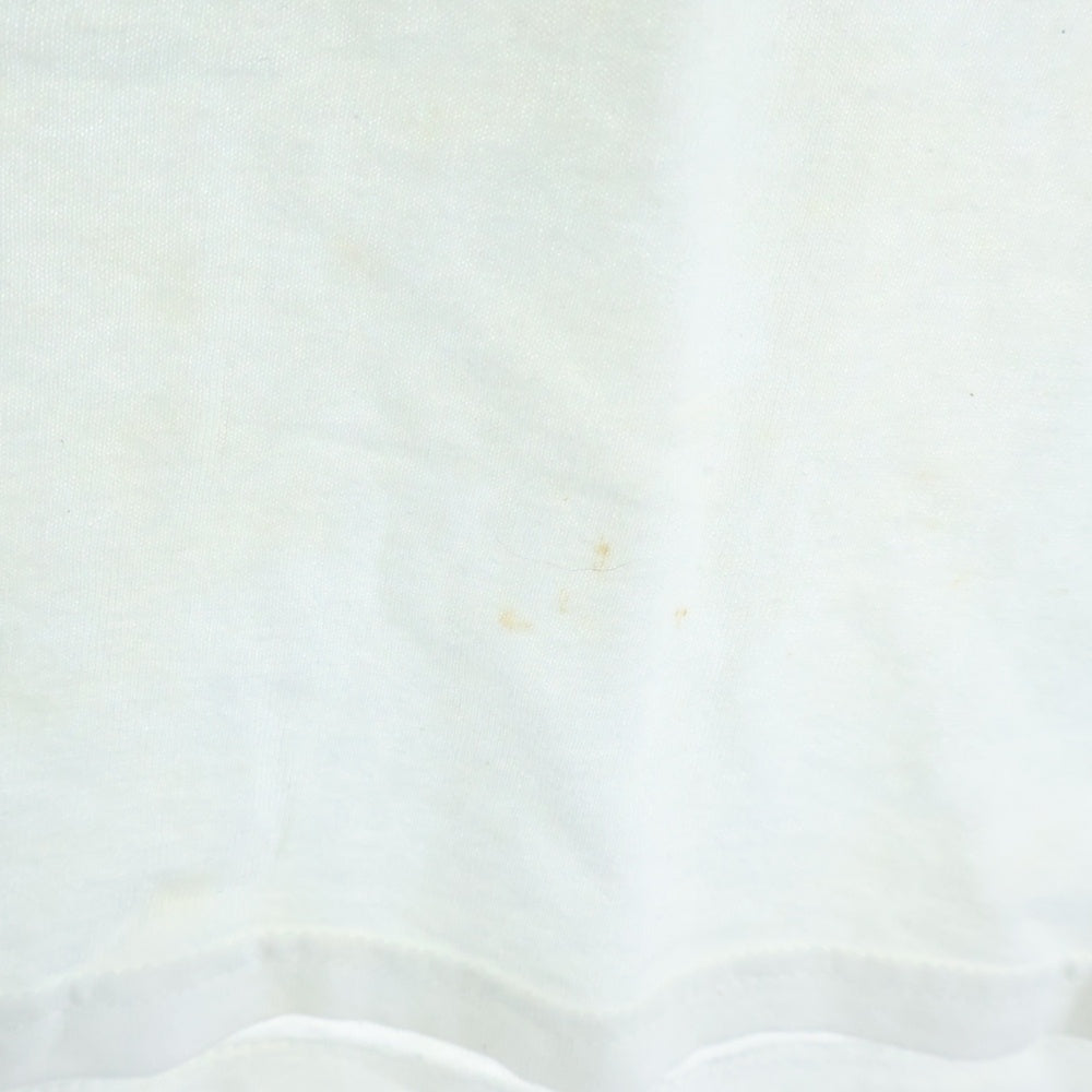 VINTAGE(ヴィンテージ) GREENDAY DOOKIE TEE 2010 グリーンデイ 半袖プリントTシャツ ホワイト