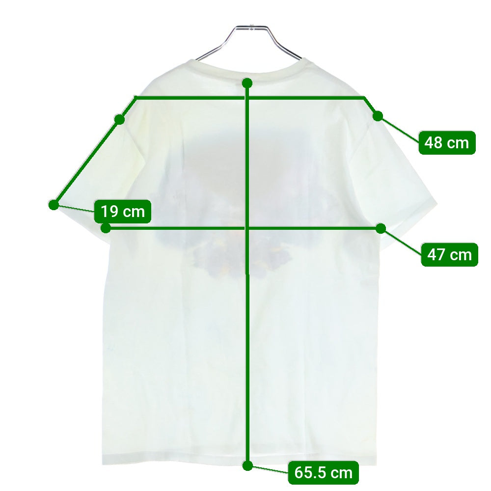 VINTAGE(ヴィンテージ) GREENDAY DOOKIE TEE 2010 グリーンデイ 半袖プリントTシャツ ホワイト