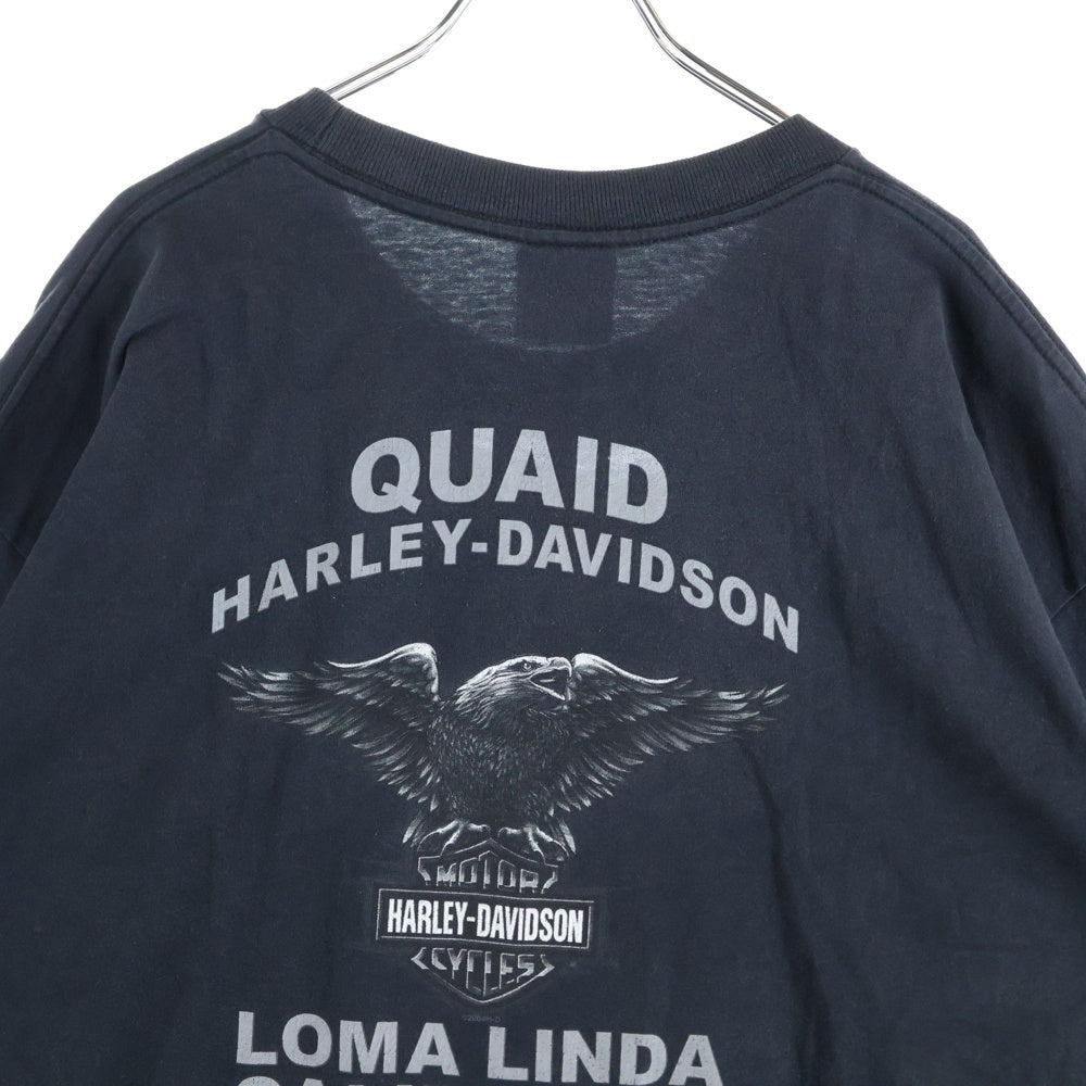 HARLEY DAVIDSON(ハーレーダビッドソン) 00s VINTAGE WOLF MOON HOLOUBEK ウルフ 半袖Tシャツ ブラック/ブルー