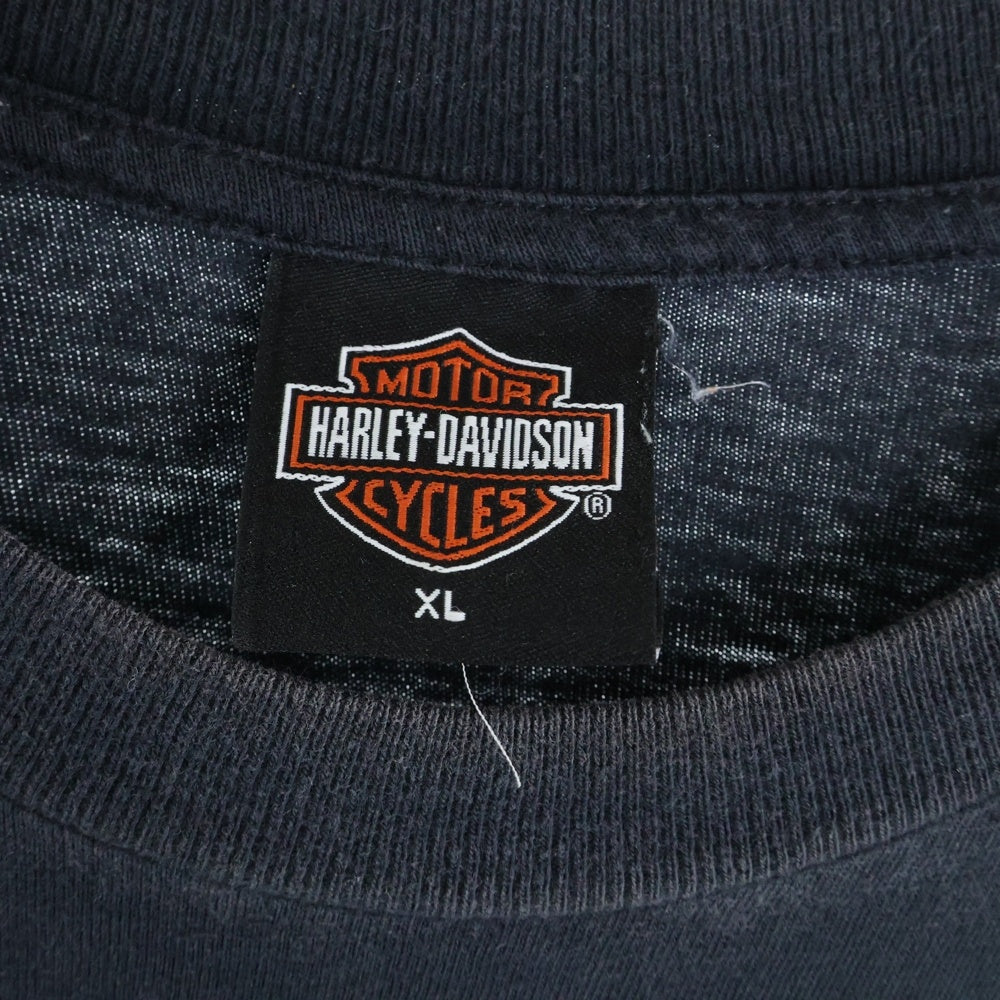 HARLEY DAVIDSON(ハーレーダビッドソン) 00s VINTAGE WOLF MOON HOLOUBEK ウルフ 半袖Tシャツ ブラック/ブルー