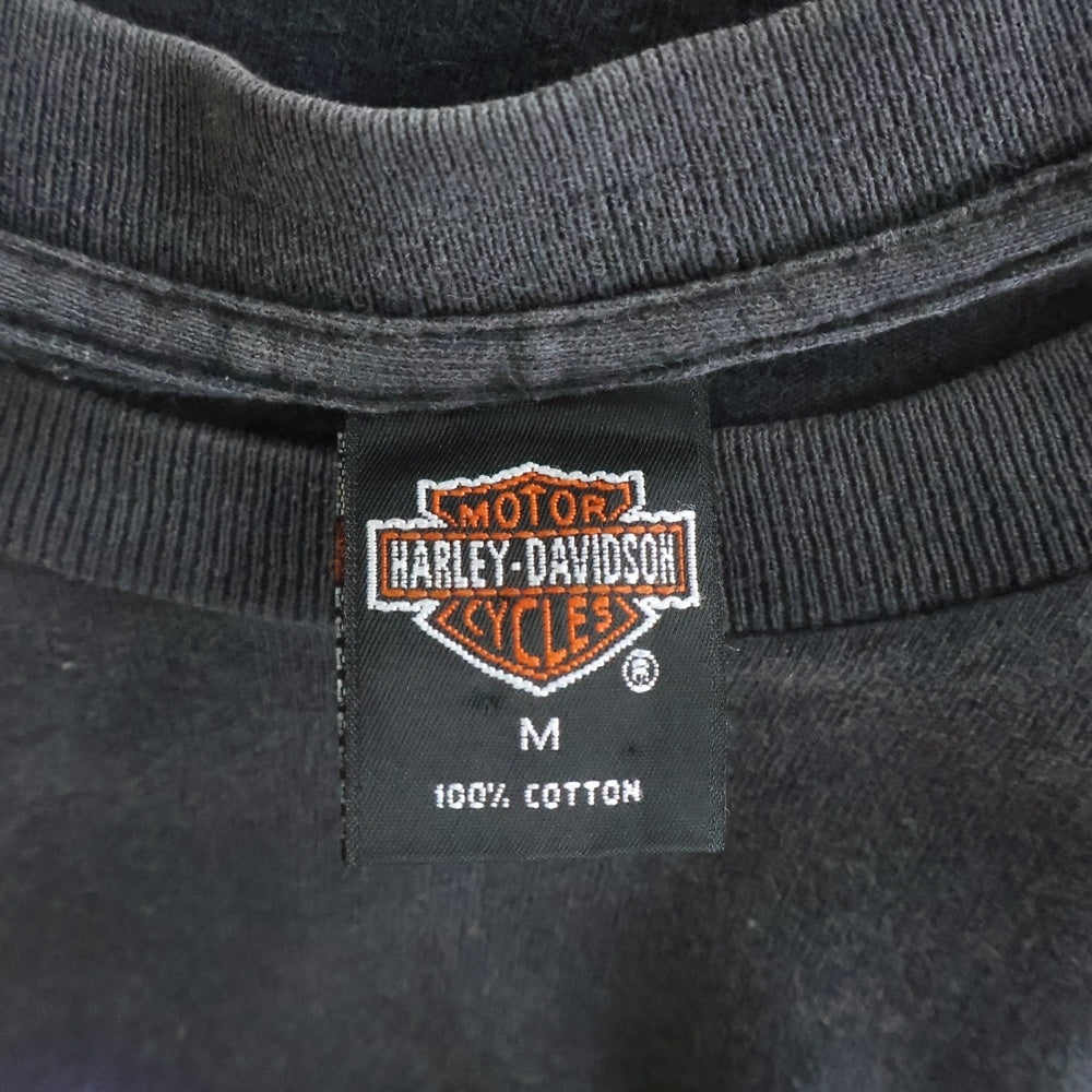 HARLEY DAVIDSON(ハーレーダビッドソン) 90S EVOLUTION REVOLUTION ENGINE THUNDER 1995 エボリューション レボリューション エンジン サンダー 両面 プリント 半袖Tシャツ カットソー