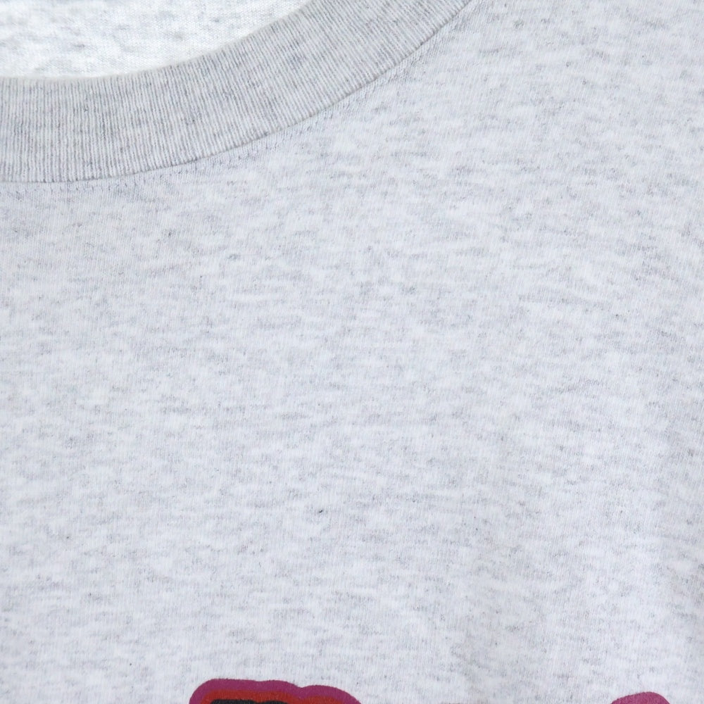 Marmot(マーモット) PIKOPIKO LONG SLEEVE TEE 24FW-L1-03-PK プリント長袖Tシャツ グレー