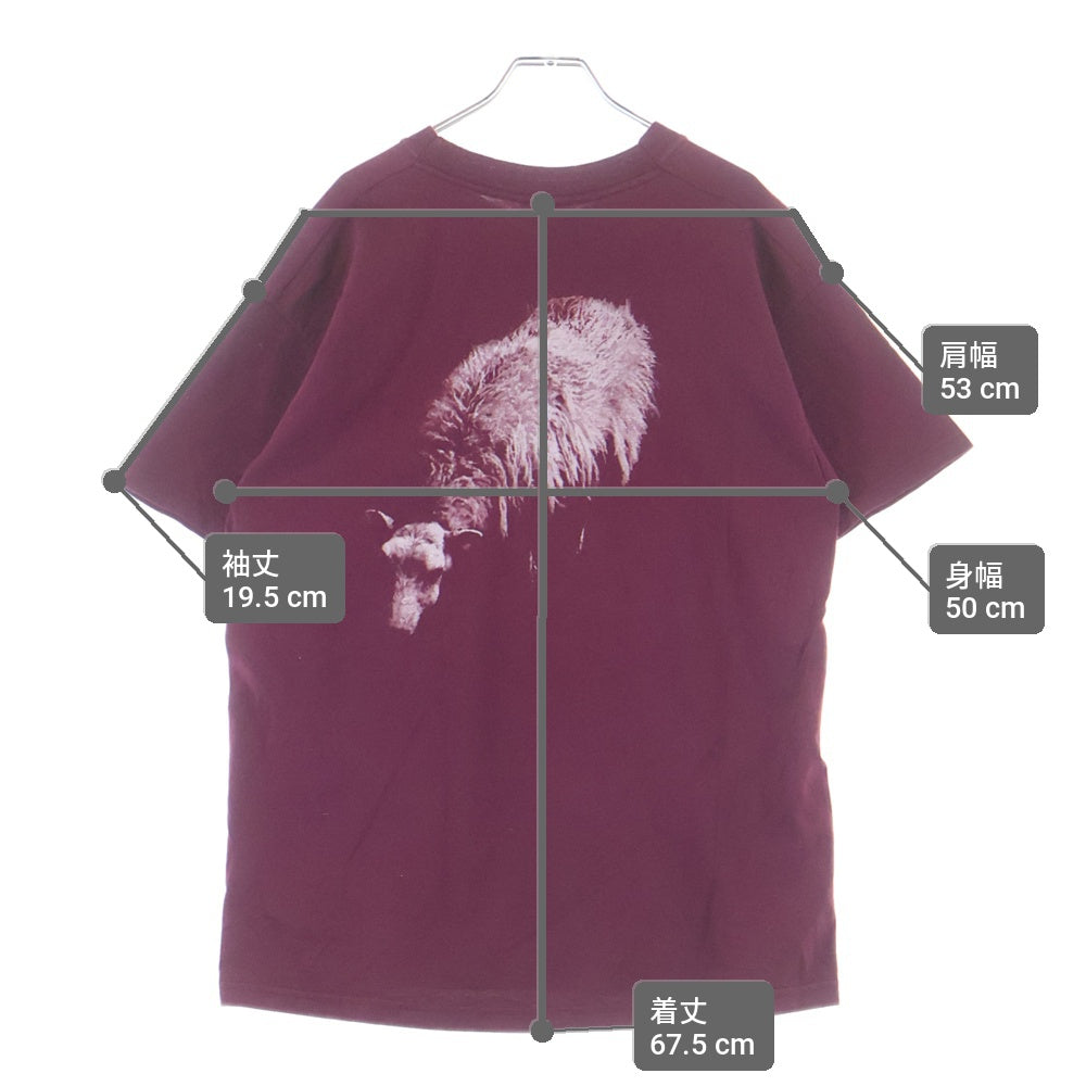 VINTAGE(ヴィンテージ) 90s BOY GERGE WHEN WILL YOU LEARN SCREEN STARS ボーイ・ジョージ 半袖カットソーTシャツ レッド