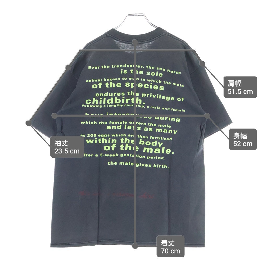 VINTAGE(ヴィンテージ) 90S NIRVANA SEAHORSE COMPETITOR TEE BROCKUN ニルヴァーナ シーホース タツノオトシゴ 半袖Tシャツ カットソー ブラック