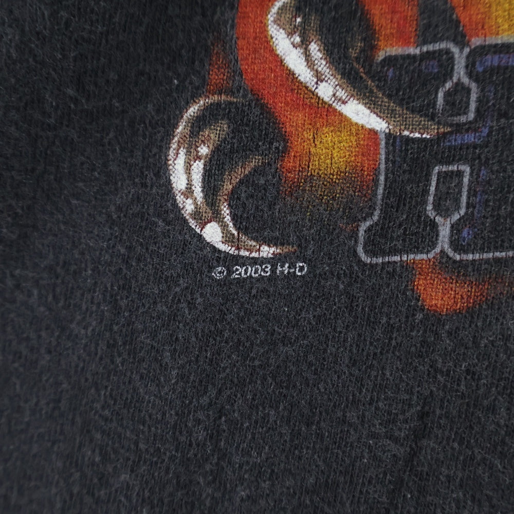 HARLEY DAVIDSON(ハーレーダビッドソン) 00S EAGLE FLAME L/S TEE PAT ROGERS SPEEDWAY イーグルフレーム 長袖Tシャツ カットソー ブラック