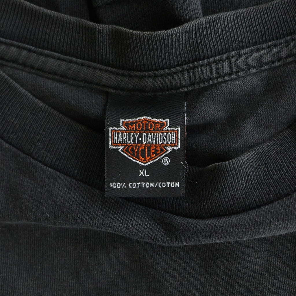 HARLEY DAVIDSON(ハーレーダビッドソン) 00S THUNDER & EAGLE PRINT TEE サンダーイーグル 両面プリント半袖カットソーTシャツ ブラック