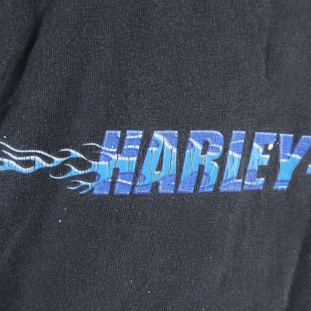 HARLEY DAVIDSON(ハーレーダビッドソン) 00S VINTAGE BLUE FLAME SLEEVE LOGO PRINT L/S TEE 袖ブルーフレイム 両面プリント長袖カットソーTシャツ ブラック