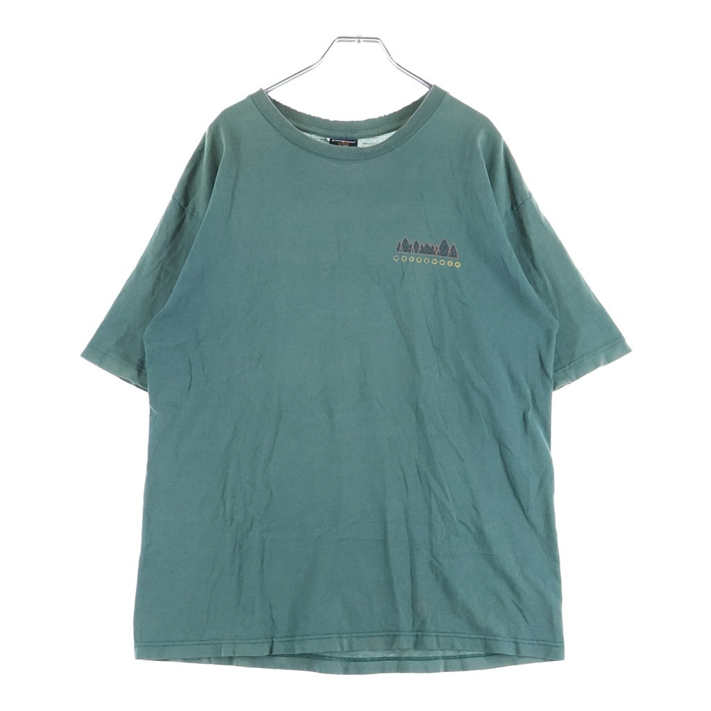 PATAGONIA(パタゴニア) 90S VINTAGE FITZ ROY WILD RESPONSIBILI TEE ヴィンテージ USA製 雪無しタグ 絶滅危惧種 両面プリント 半袖Tシャツ カットソー グリーン