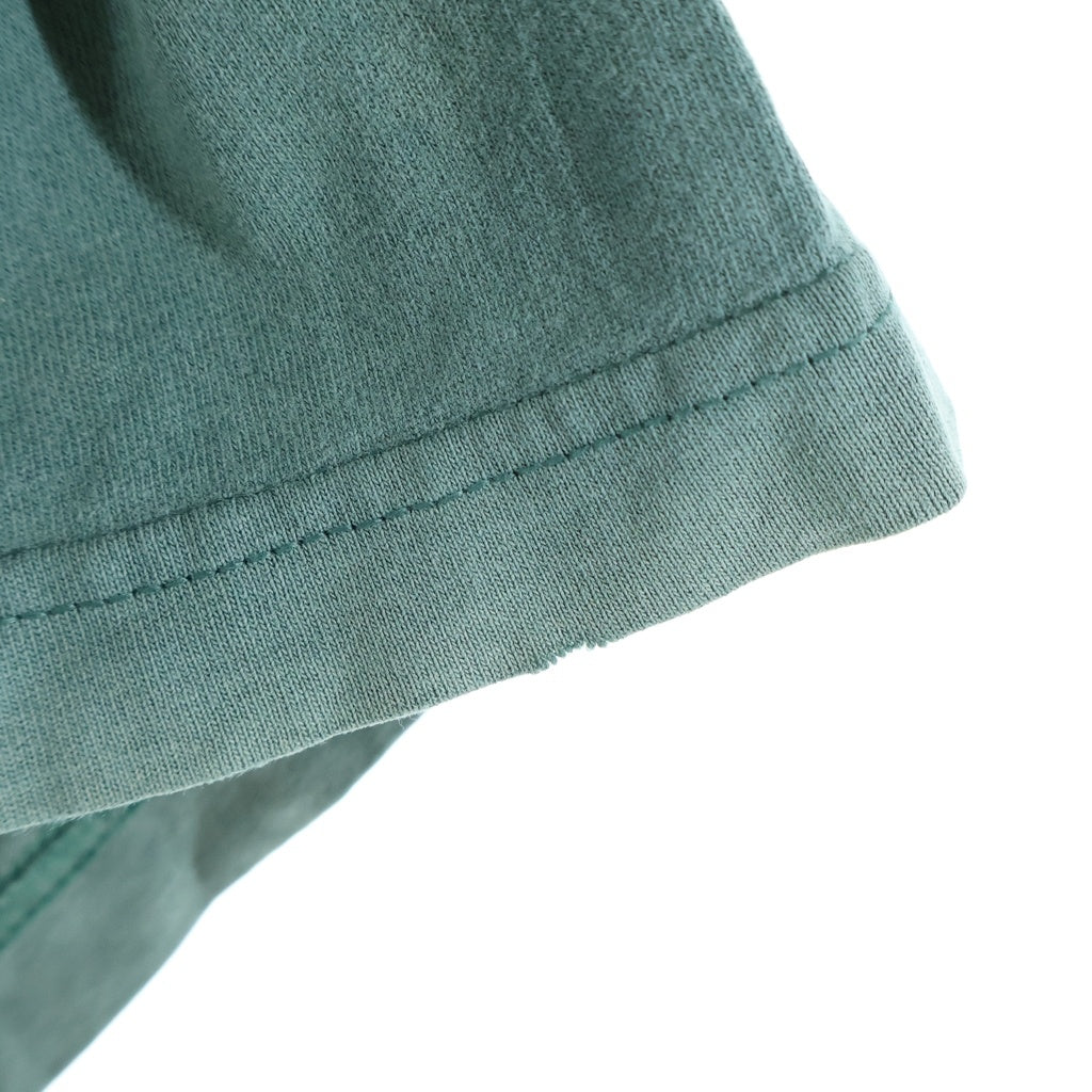 PATAGONIA(パタゴニア) 90S VINTAGE FITZ ROY WILD RESPONSIBILI TEE ヴィンテージ USA製 雪無しタグ 絶滅危惧種 両面プリント 半袖Tシャツ カットソー グリーン