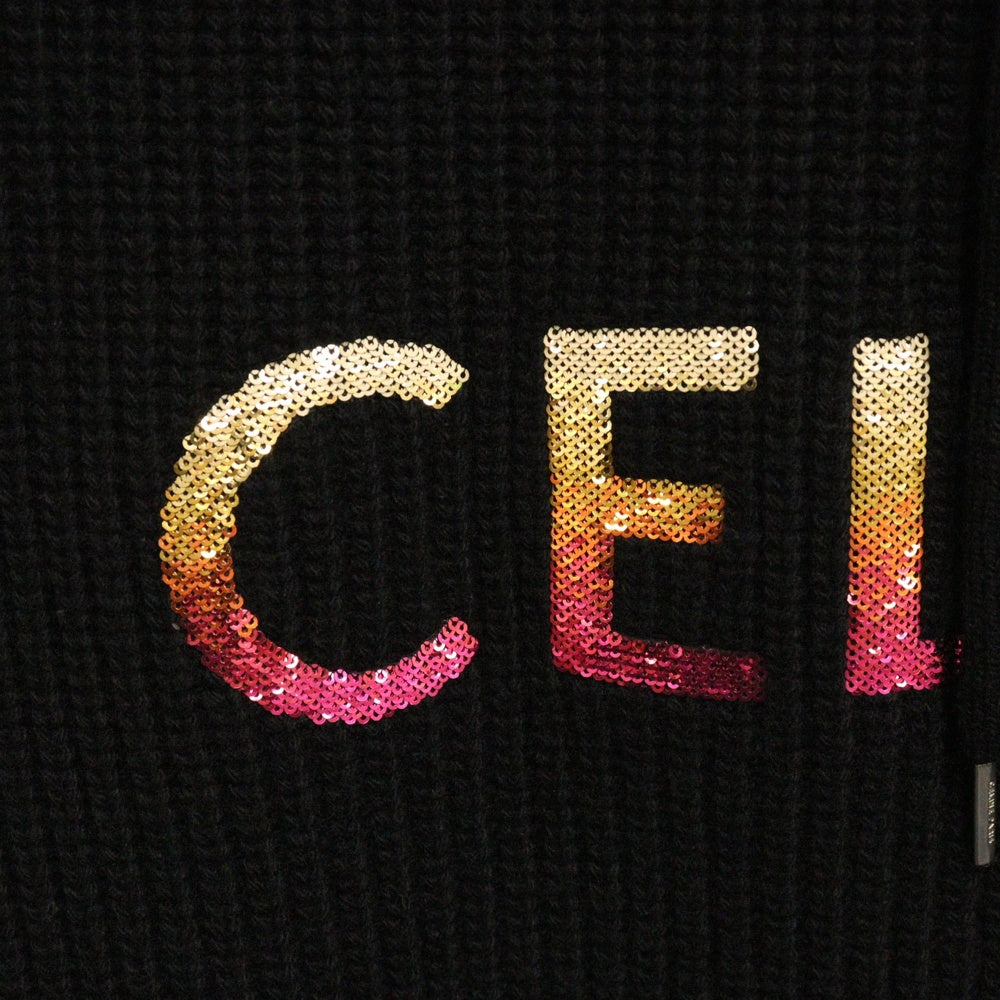CELINE(セリーヌ) 22AW Hoodie スパンコール装飾 グラデーションロゴ プルオーバーウールニットパーカー フーディー 2A10X66Q ブラック
