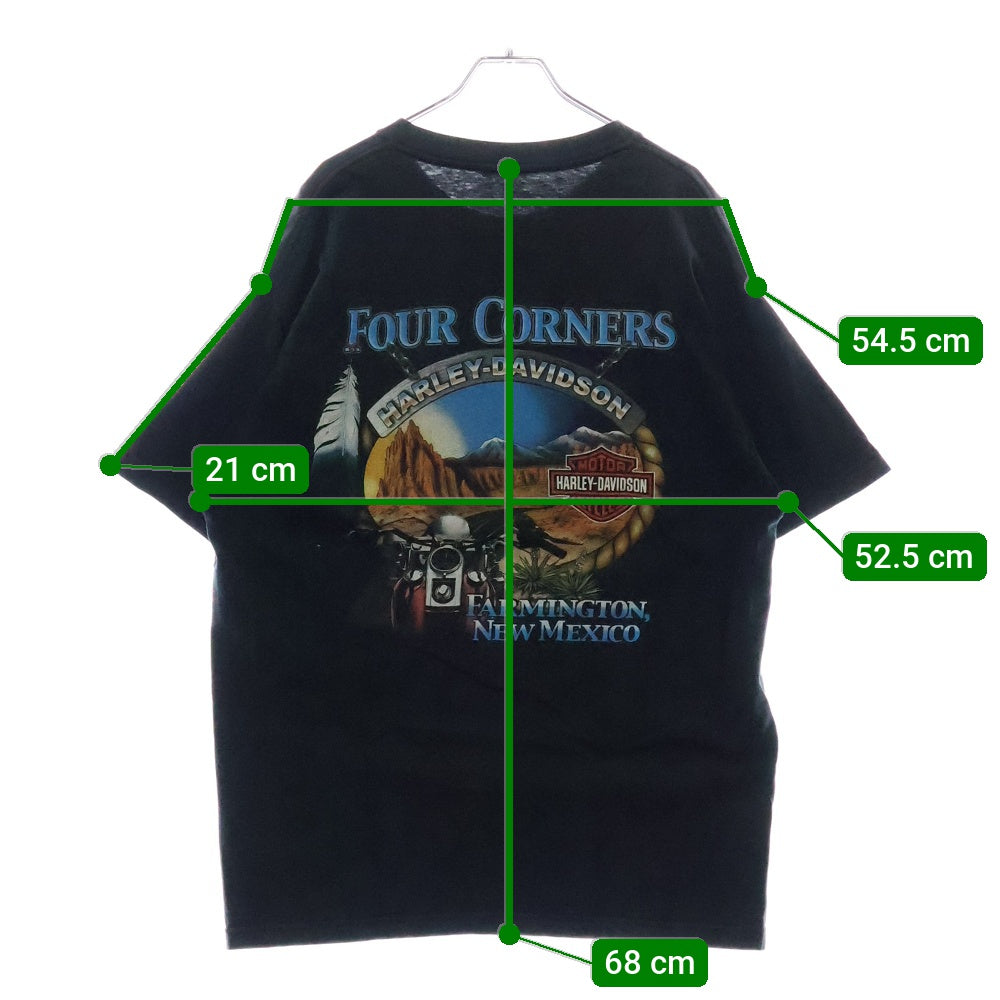 HARLEY DAVIDSON(ハーレーダビッドソン) FRONT FLAME FOUR COUNERS フレームロゴプリント半袖Tシャツ ブラック