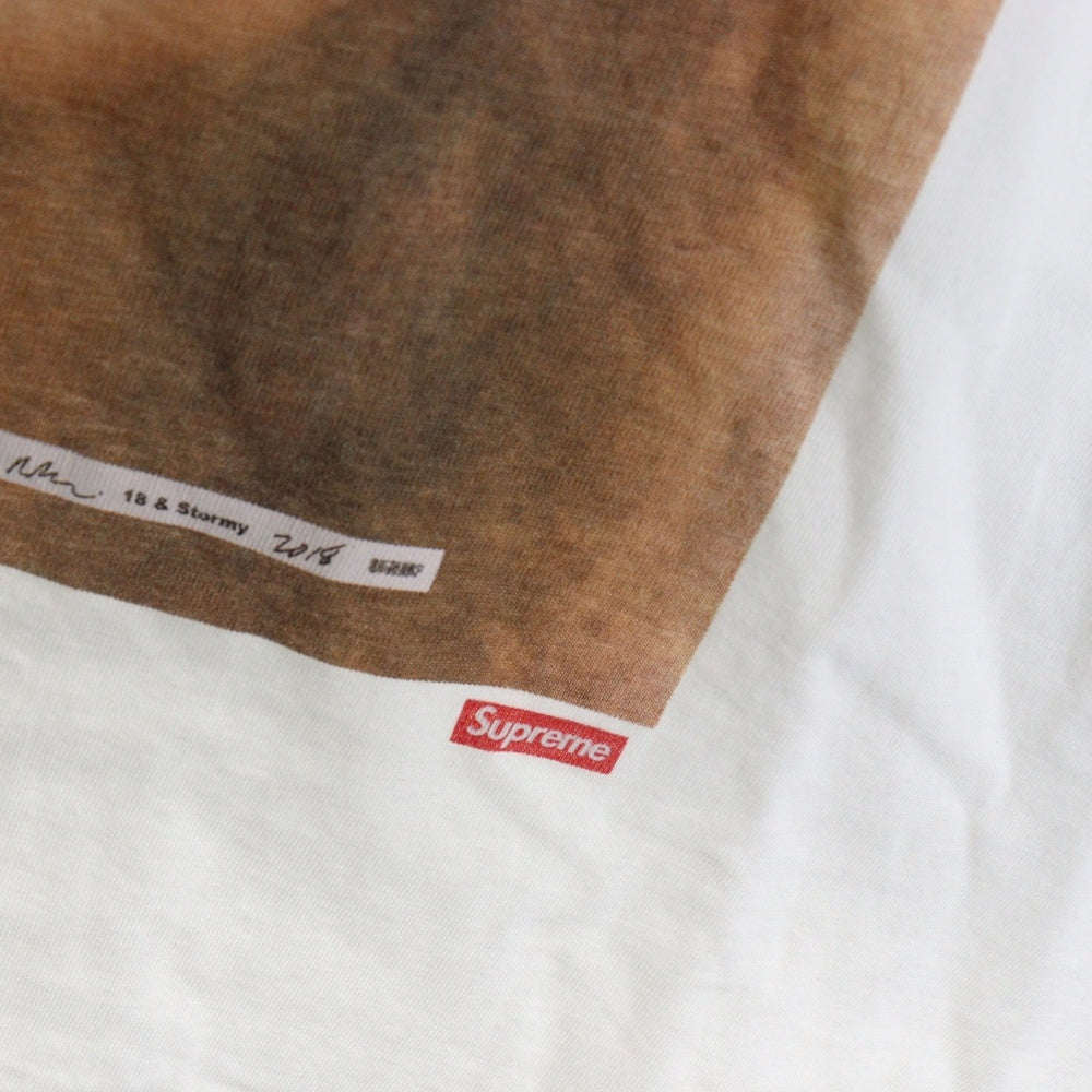 SUPREME(シュプリーム) 18AW 18 & Stormy Tee ストーミー アートワーク 半袖Tシャツ ホワイト