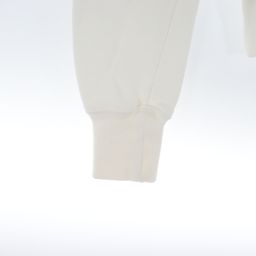 DRKSHDW(ダークシャドウ) HOODIE ロゴプリント プルオーバースウェットパーカー フーディー ホワイト DS01D1245-FEP2