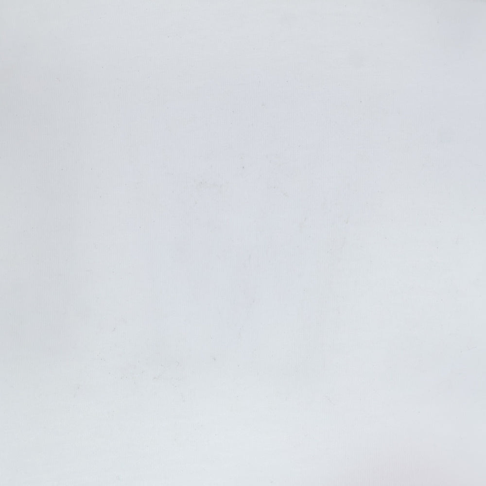 LOEWE(ロエベ) Botanical T-Shirt ボタニカル ロゴプリント半袖Tシャツ ホワイト S6199450CR