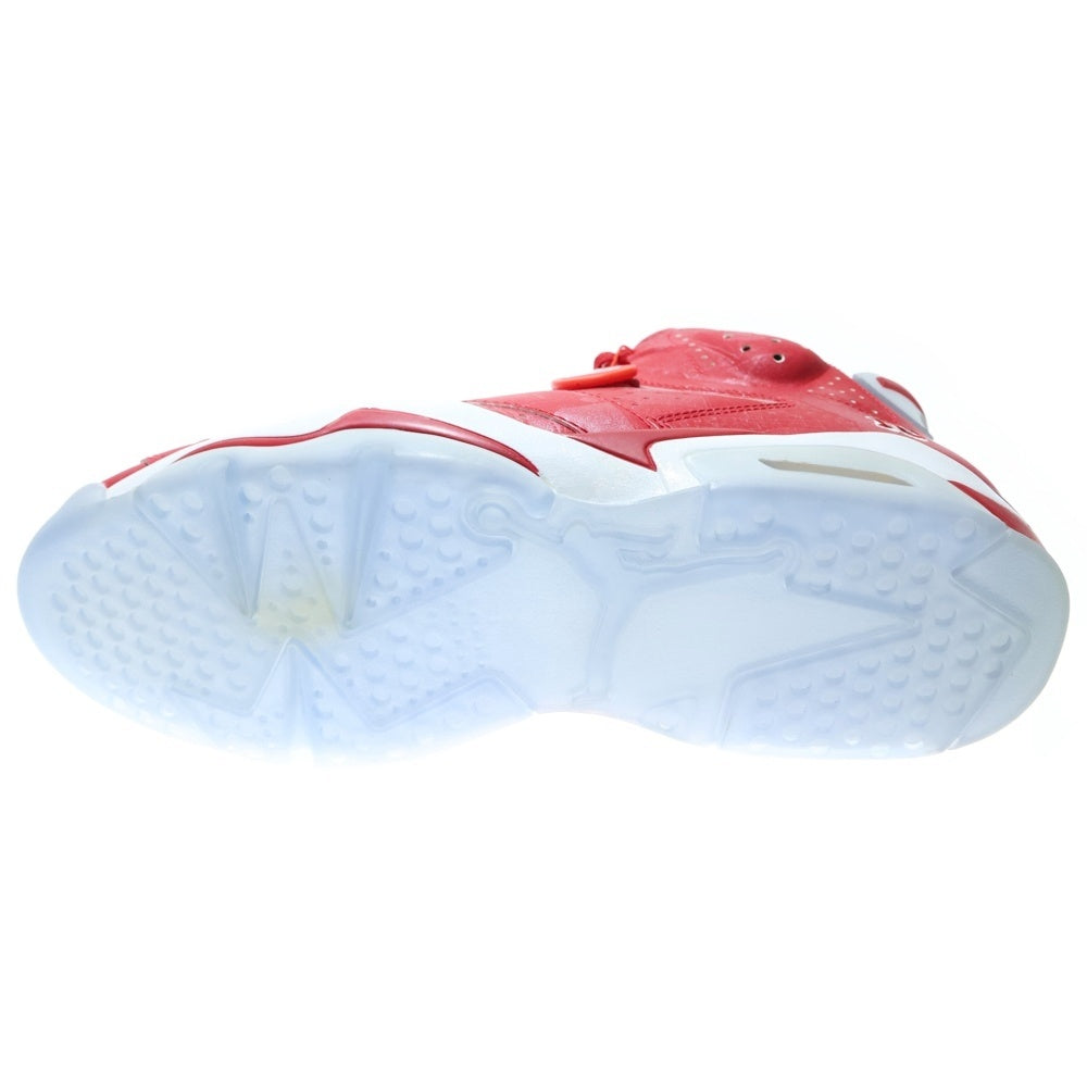 NIKE(ナイキ) 【観賞用】 2014年製 ×SLAM DUNK AIR JORDAN 6 RETRO スラムダンク エアジョーダン6 ハイカットスニーカー レッド 717302-600 US12/30cm