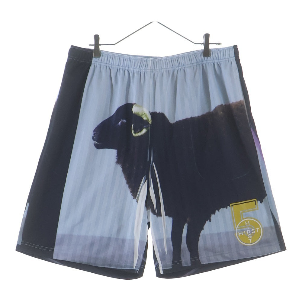 SUPREME(シュプリーム) 25SS ×DAMIEN HIRST SOCCER SHORT GREEN XL ダミアン ハースト コラボ サッカー ショーツ ハーフパンツ グリーン
