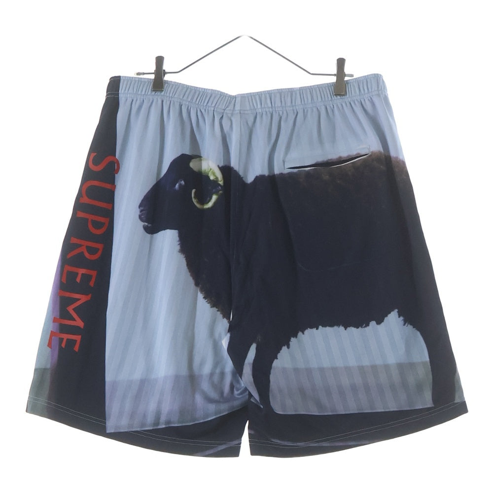 SUPREME(シュプリーム) 25SS ×DAMIEN HIRST SOCCER SHORT GREEN XL ダミアン ハースト コラボ サッカー ショーツ ハーフパンツ グリーン