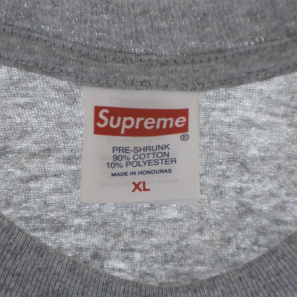 SUPREME(シュプリーム) 24AW Tyler The Creator Tee タイラーザクリエーター プリント 半袖Tシャツ カットソー グレー