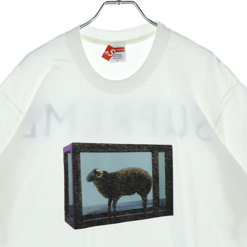 SUPREME(シュプリーム) 25SS ×Damien Hirst Tee ダミエン ハースト ロゴデザイン クルーネック カットソー 半袖Tシャツ ホワイト