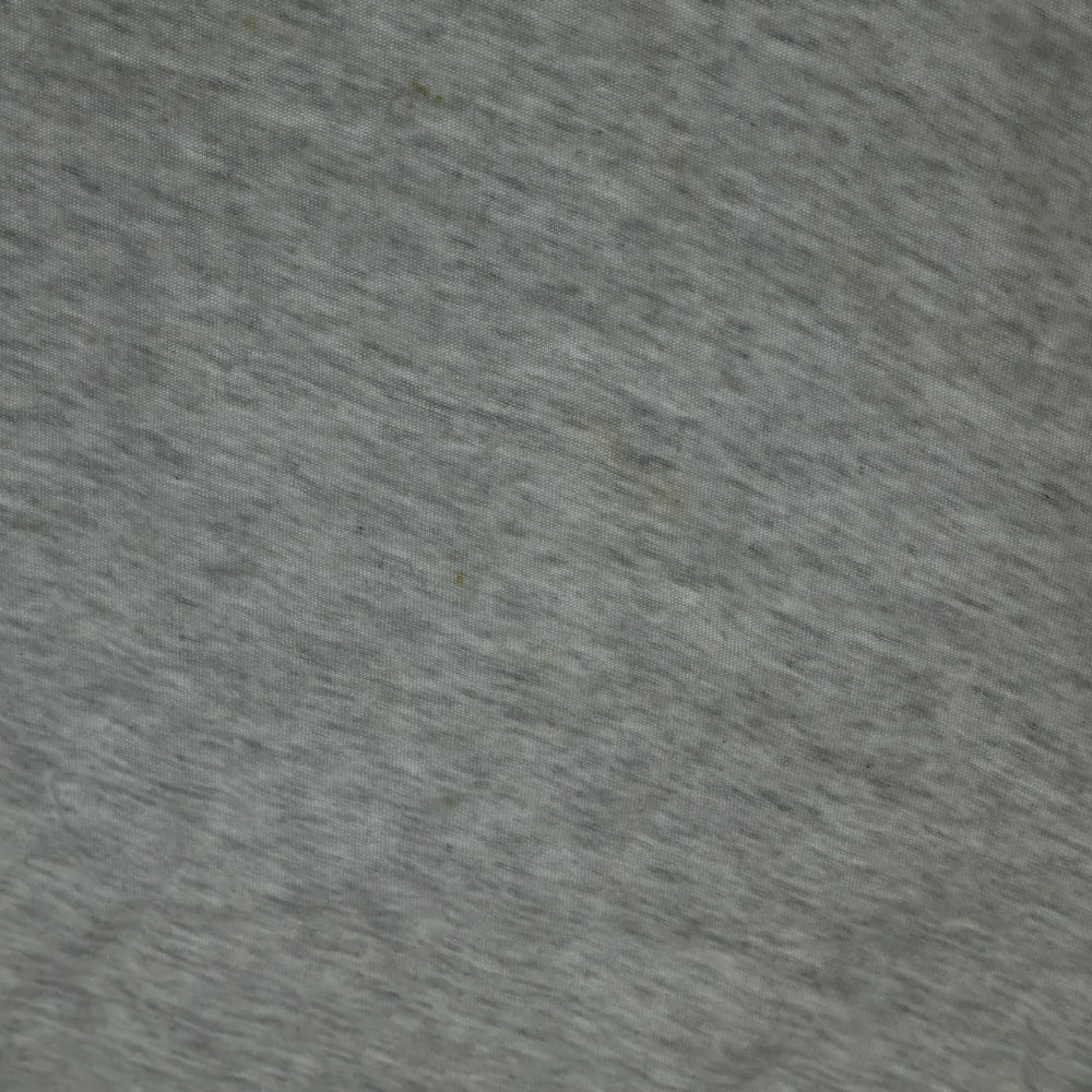 Acne Studios(アクネ ストゥディオズ) ヴィンテージ加工 フロントロゴプリント 半袖Tシャツ カットソー グレー FN-UX-TSHI000017-CL0201