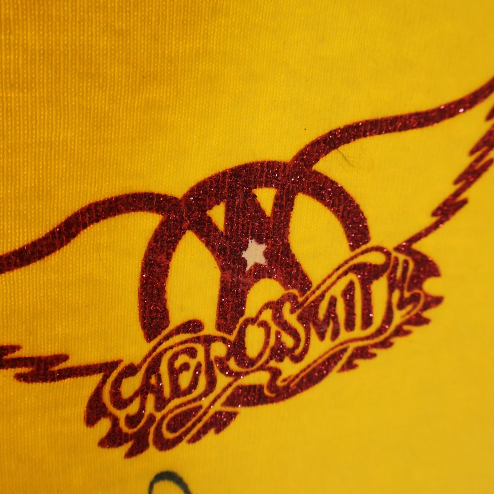 VINTAGE(ヴィンテージ) 00SS VINTAGE GIANT AERO SMITH WINGS エアロスミス ウィングス フロントロゴプリント 半袖Tシャツ カットソー イエロー/ネイビー レディース