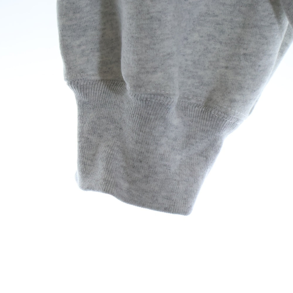 SUPREME(シュプリーム) 24AW Satin Applique Hooded Sweatshirt サテンアップリケ スウェットフードパーカー グレー