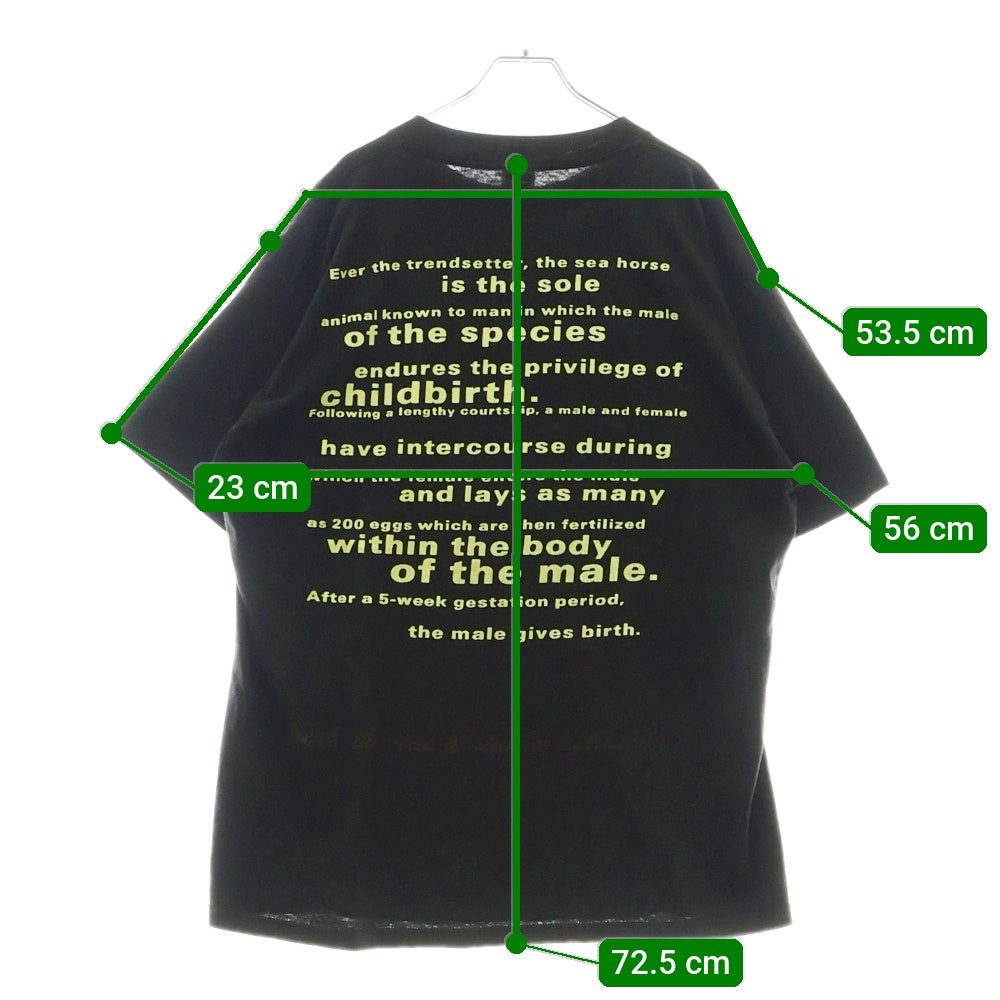 VINTAGE(ヴィンテージ) 90s VINTAGE NIRVANA SEAHORSE COMPETITORタグ ニルヴァーナ シーホース 半袖Tシャツ ブラック