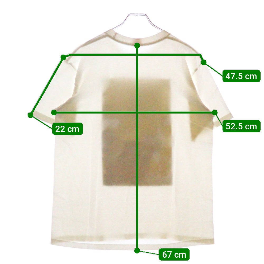 SUPREME(シュプリーム) 21SS Anna Nicole Smith Tee アンナ ニコル スミス フォトプリント 半袖Tシャツ カットソー ホワイト