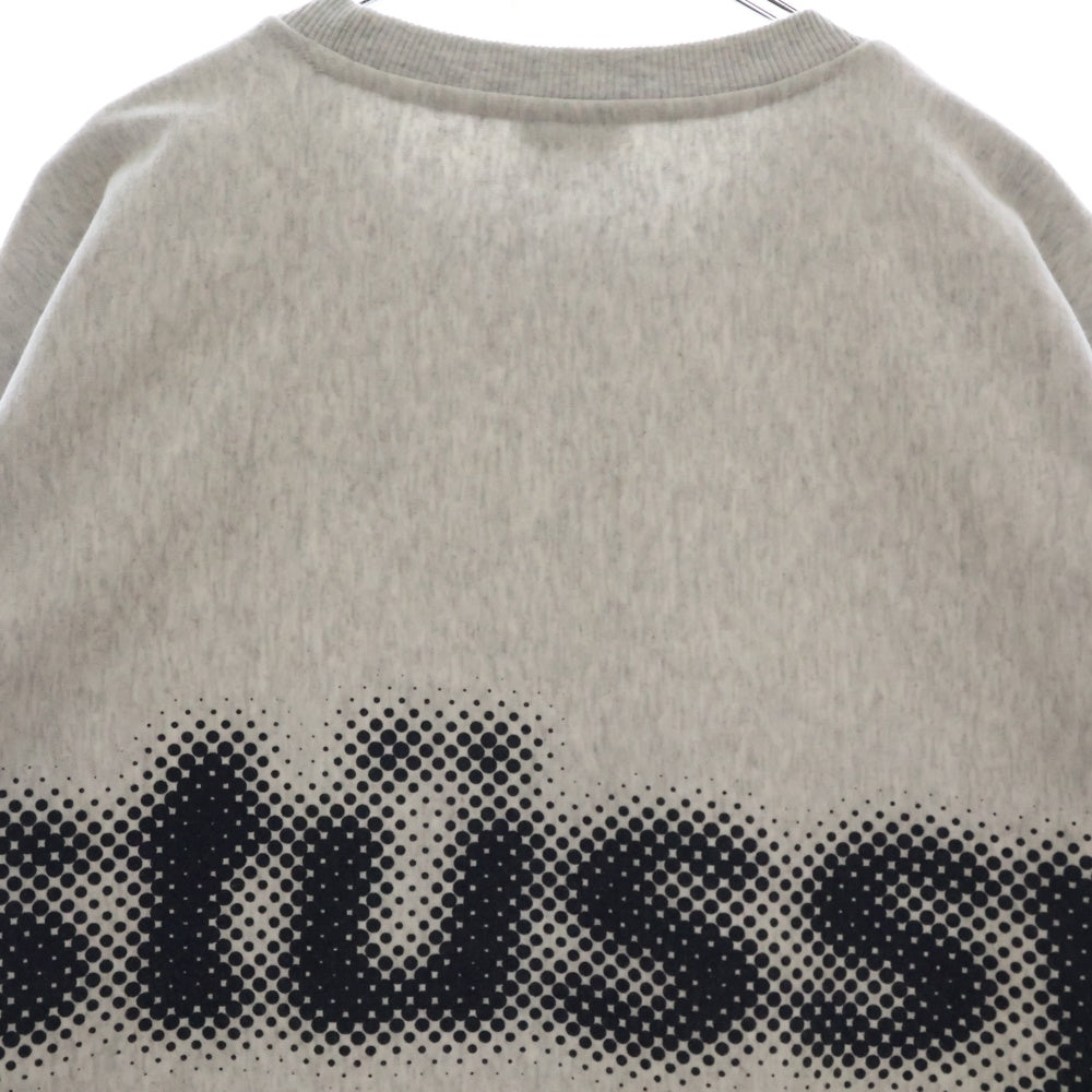 STUSSY(ステューシー) 23AW BLUR CREW ブラー クルーネック スウェットトレーナー ライトグレー