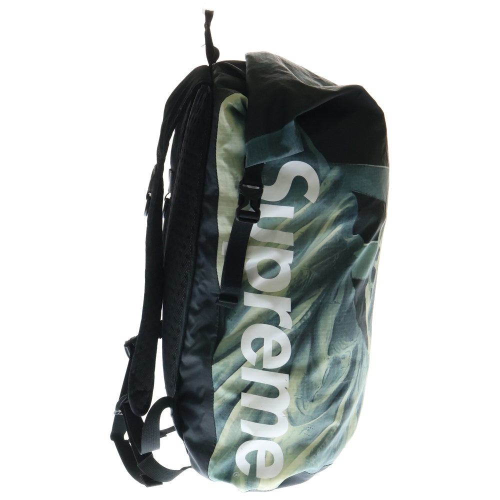 SUPREME(シュプリーム) 19AW ×THE NORTH FACE Statue of Liberty Waterproof Backpack スタチュー オブ リバティ ウォータープルーフ バックパック リュックサック NM81960I