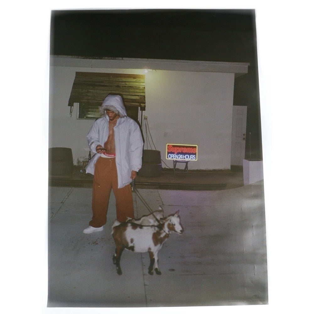 SUPREME(シュプリーム) Sun Damage by harmony korine Tyshawn Jones Poster サンダメージ バイ ハーモニー・コリン タイショーン・ジョーンズ フォト ポスター マルチ