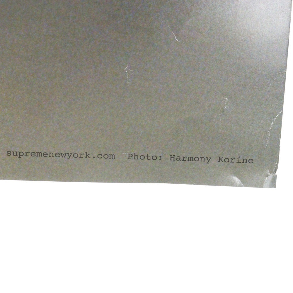 SUPREME(シュプリーム) Sun Damage by harmony korine Tyshawn Jones Poster サンダメージ バイ ハーモニー・コリン タイショーン・ジョーンズ フォト ポスター マルチ
