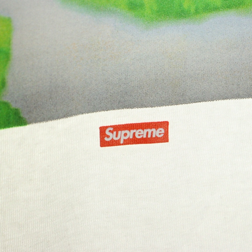 SUPREME(シュプリーム) 25SS Aphex Twin Donkey Rhubarb L/S Tee エイフェックス・ツイン ドンキー ルバーブ バックプリント クルーネック 長袖Tシャツ ホワイト