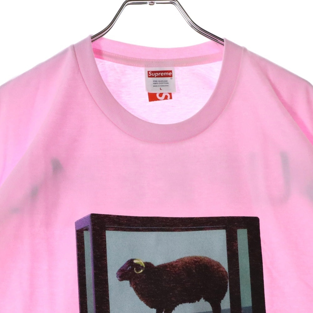 SUPREME(シュプリーム) 25SS Damien Hirst Tee ダミアンハースト プリント クルーネック 半袖Tシャツ カットソー ピンク