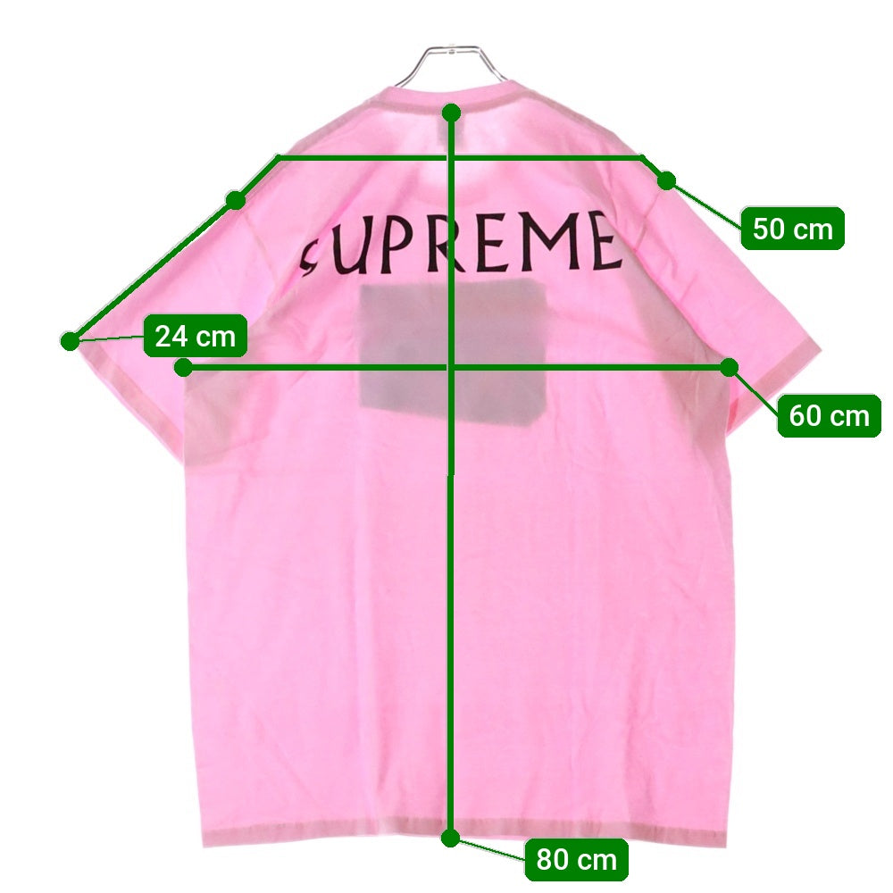 SUPREME(シュプリーム) 25SS Damien Hirst Tee ダミアンハースト プリント クルーネック 半袖Tシャツ カットソー ピンク