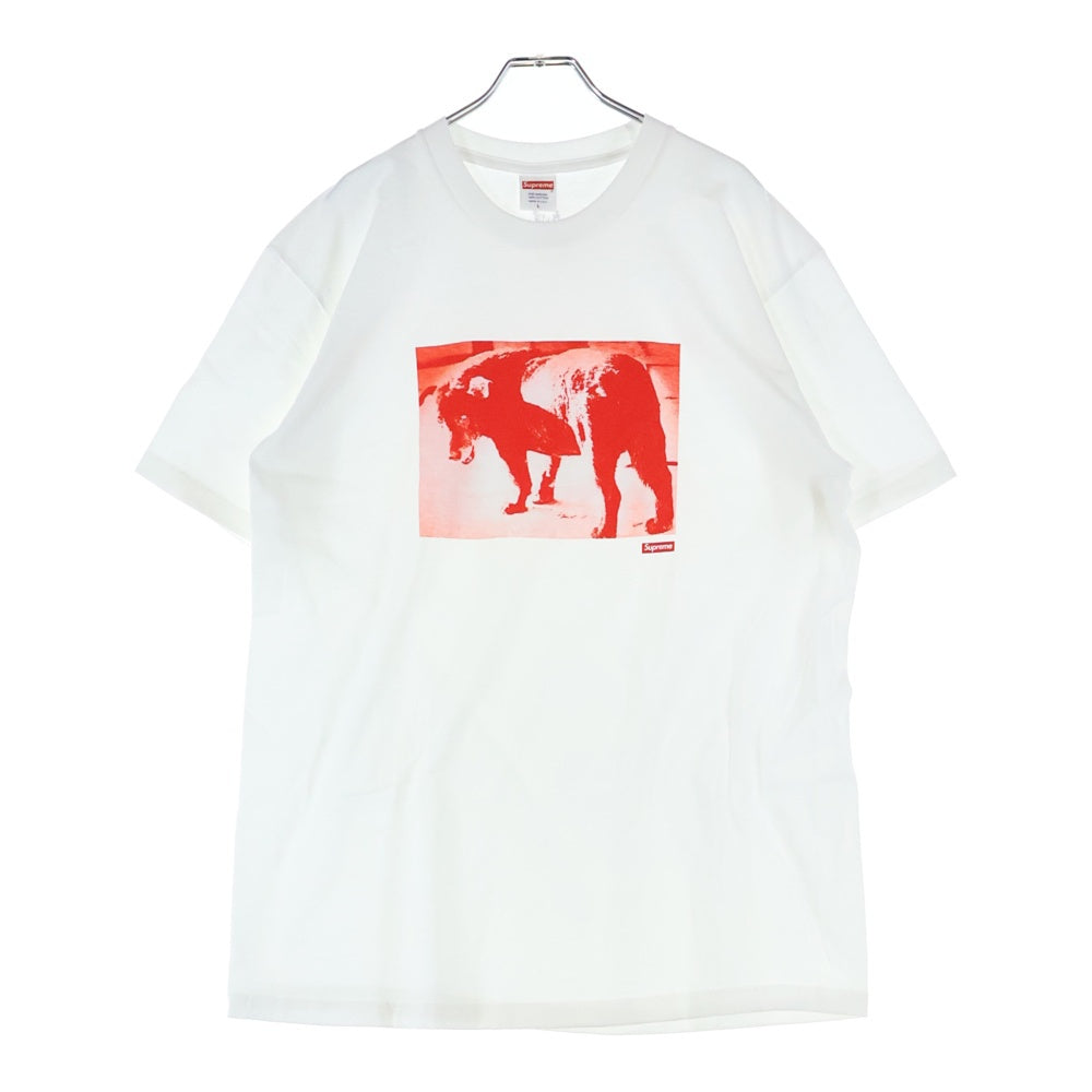 SUPREME(シュプリーム) 22SS Daido Moriyama Dog Tee 森山大道 ドッグ フォトプリント クルーネック 半袖Tシャツ カットソー ホワイト