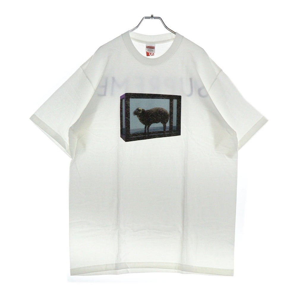 SUPREME(シュプリーム) 25SS Damien Hirst Tee ダミアンハースト プリント クルーネック 半袖Tシャツ カットソー ブラック