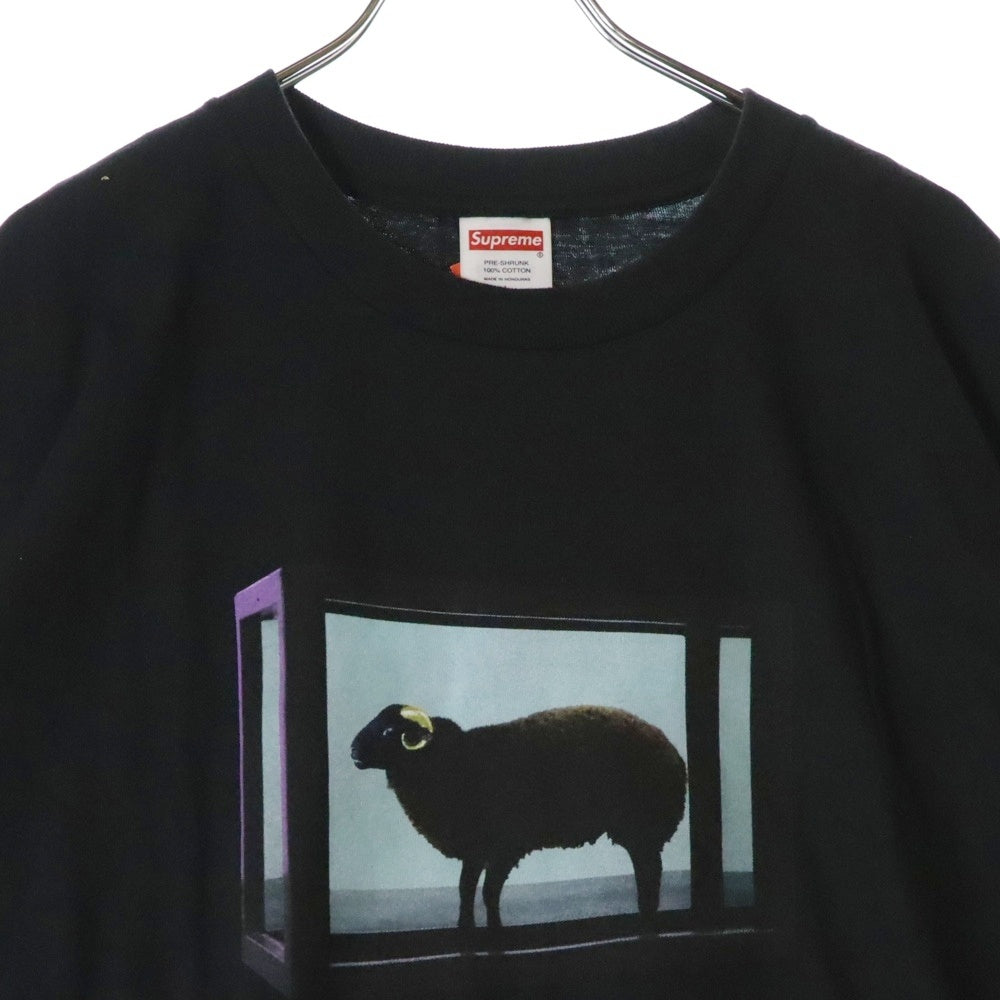 SUPREME(シュプリーム) 25SS Damien Hirst Tee ダミアンハースト プリント クルーネック 半袖Tシャツ カットソー ブラック