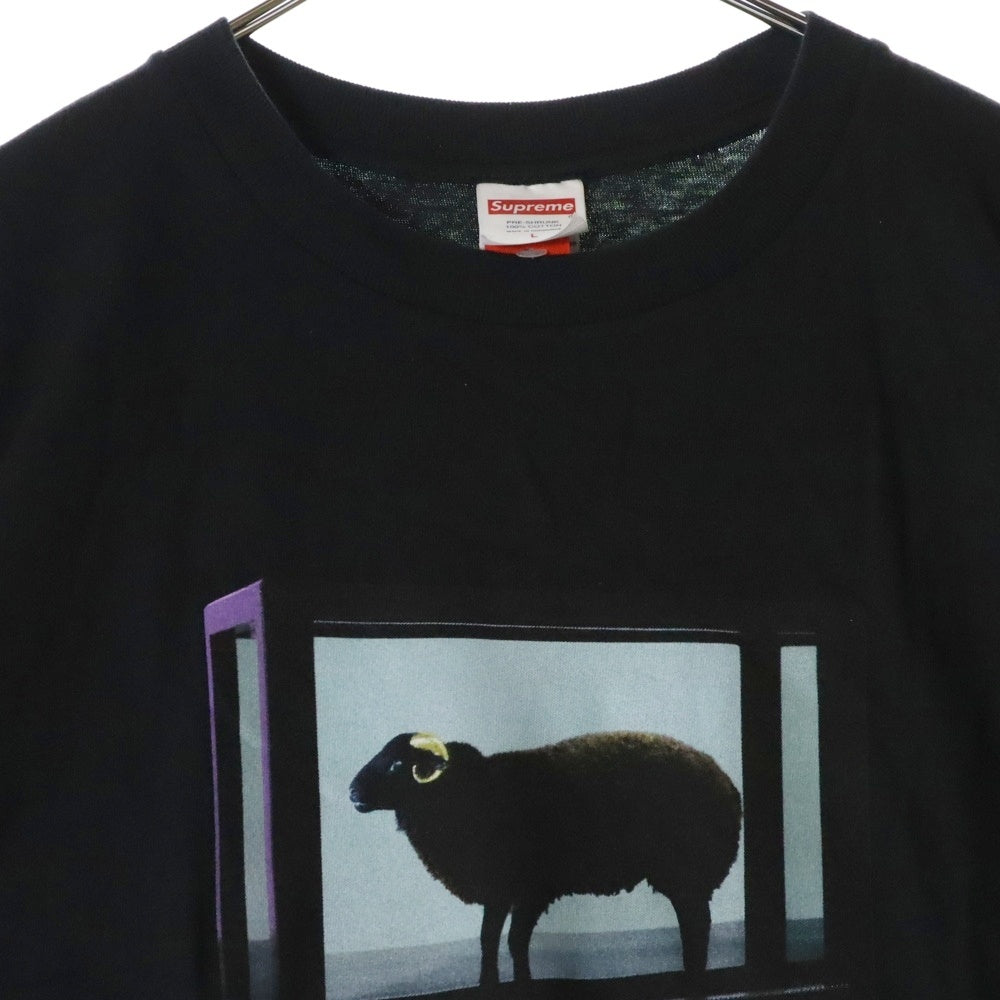SUPREME(シュプリーム) 25SS Damien Hirst Tee ダミアンハースト プリント クルーネック 半袖Tシャツ カットソー ブラック