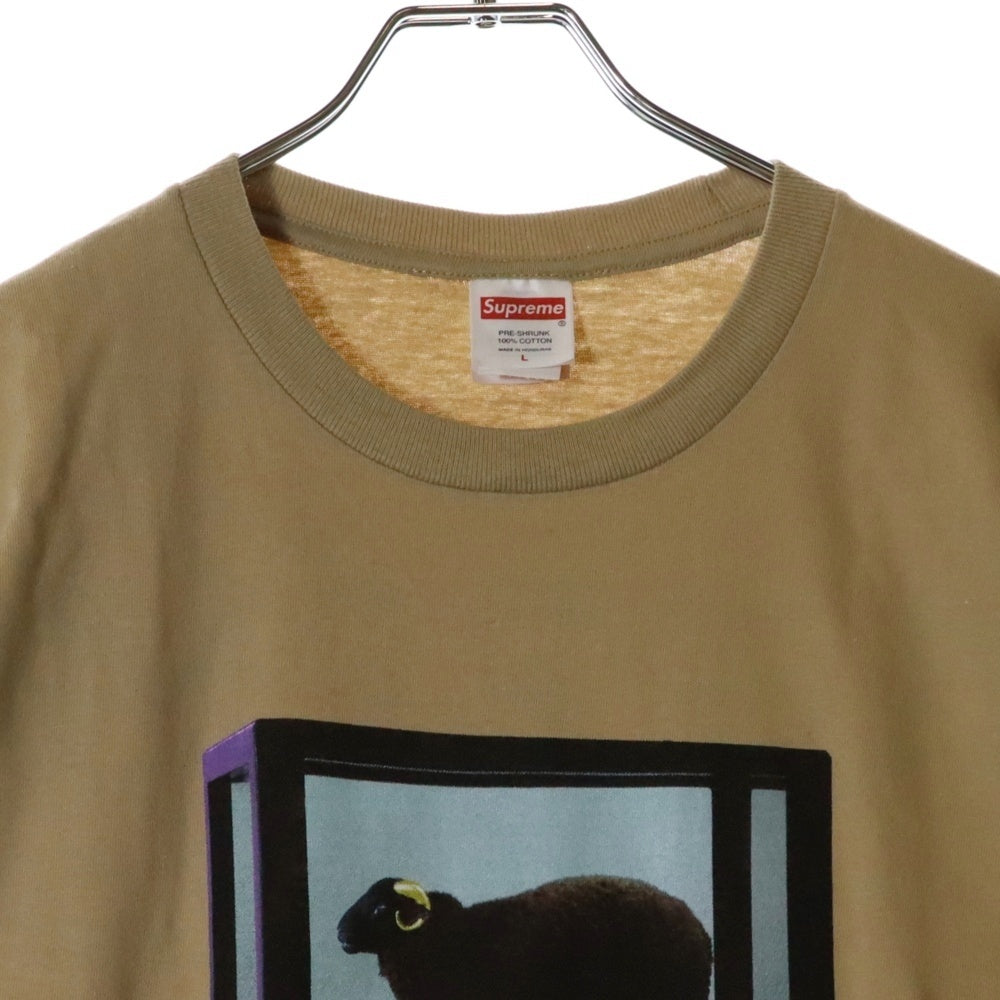 SUPREME(シュプリーム) 25SS Damien Hirst Tee ダミアンハースト プリント クルーネック 半袖Tシャツ カットソー ベージュ