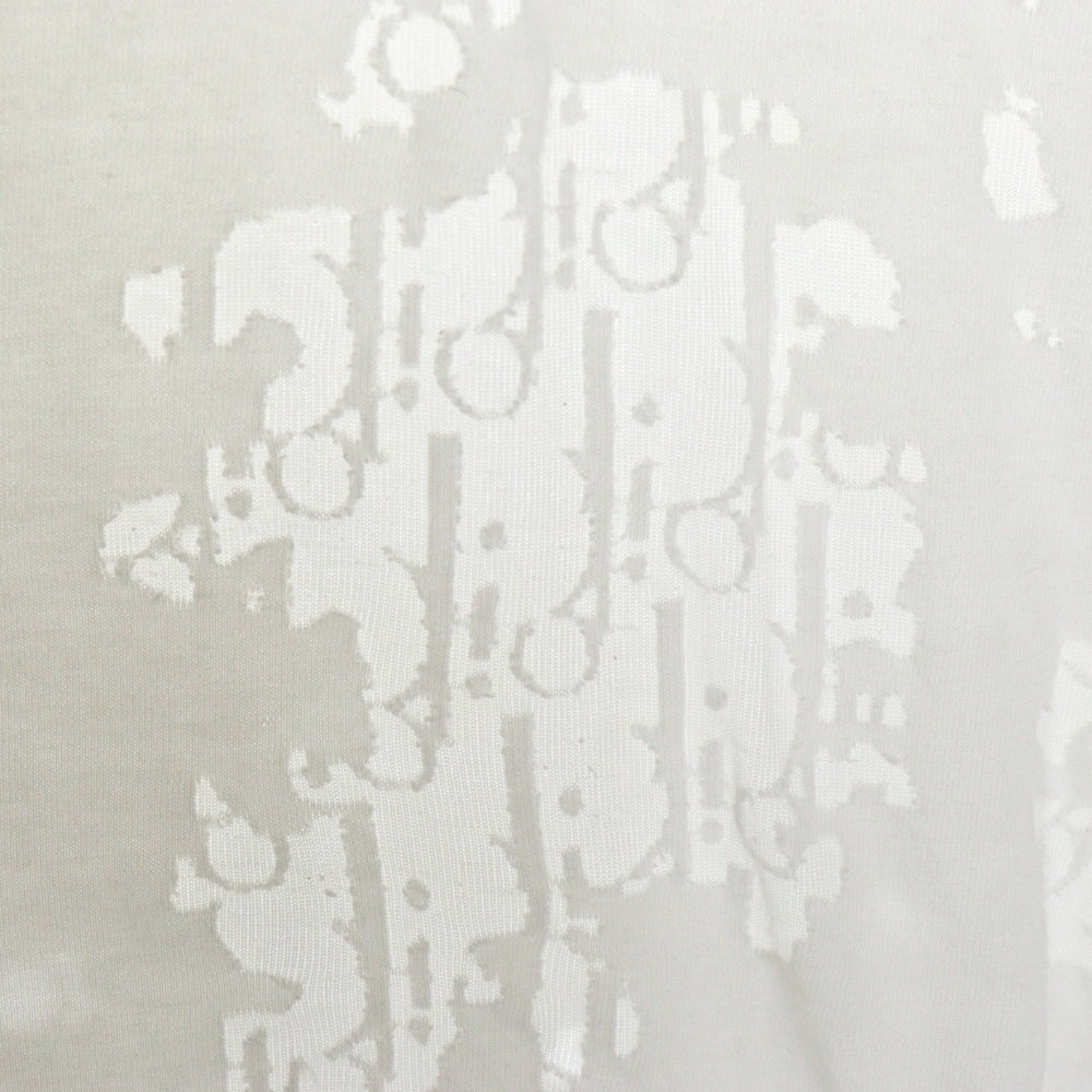 Dior HOMME(ディオールオム) 19SS オブリーク オパール加工 ロゴ総柄 シースルー クルーネック 半袖Tシャツ カットソー ホワイト 923J611A0540