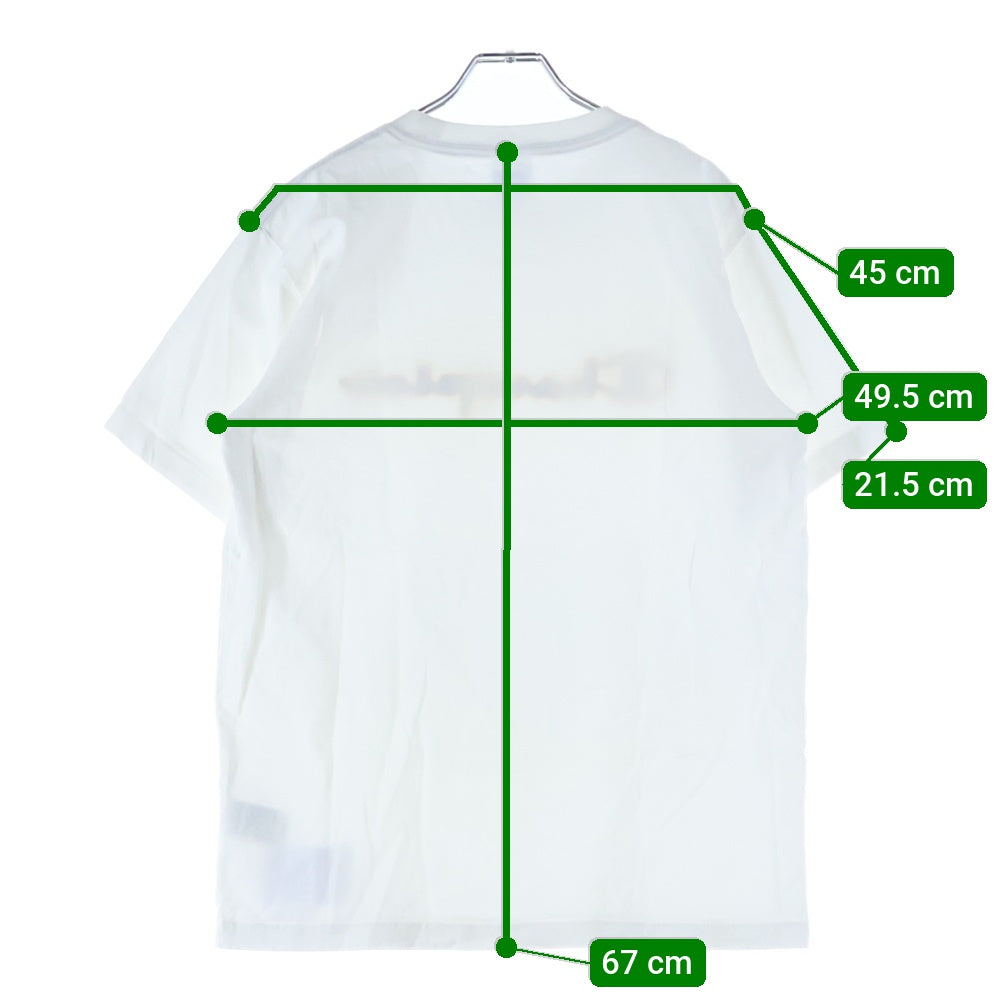 CHAMPION(チャンピオン) スクリプト ロゴ クルーネック 半袖Tシャツ カットソー ホワイト C3-Q301