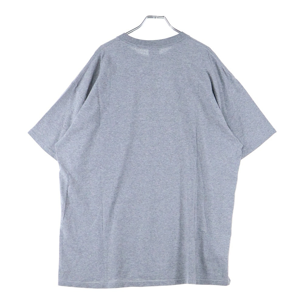 STUSSY(ステューシー) 00s OLD STUSSY KNOWLEDGE IS KING オールドステューシー グラフィックプリント クルーネック 半袖Tシャツ カットソー グレー