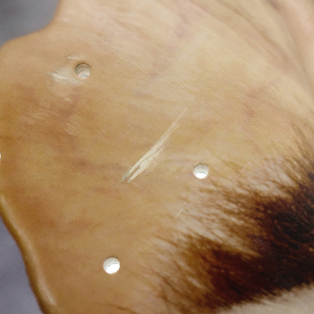 SUPREME(シュプリーム) 22AW Gremlins Skateboard Deck Gizmo グレムリン スケートボード デッキ ギズモ マルチ