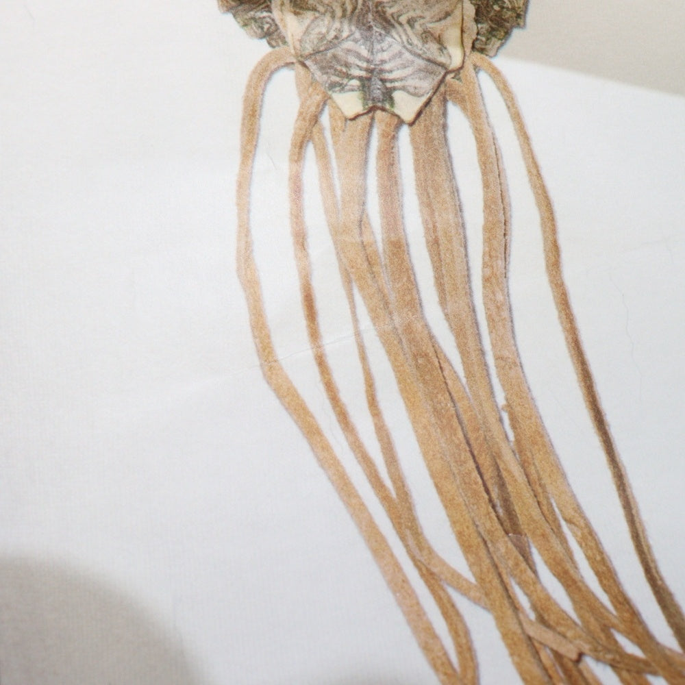 SUPREME(シュプリーム) 15SS × Neil Young Poster ニールヤング フォト ポスター マルチ