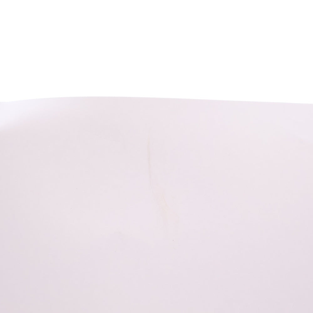 SUPREME(シュプリーム) 24AW × Tyler The Creator Poster タイラーザクリエイター フォト ポスター マルチ