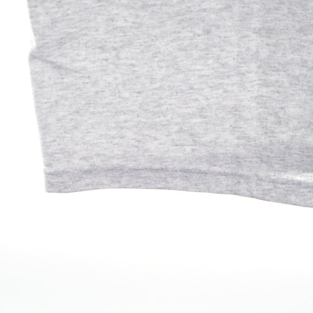 SUPREME(シュプリーム) 24AW Day's End Tee デイズエンド フォトプリント クルーネック 半袖Tシャツ カットソー グレー