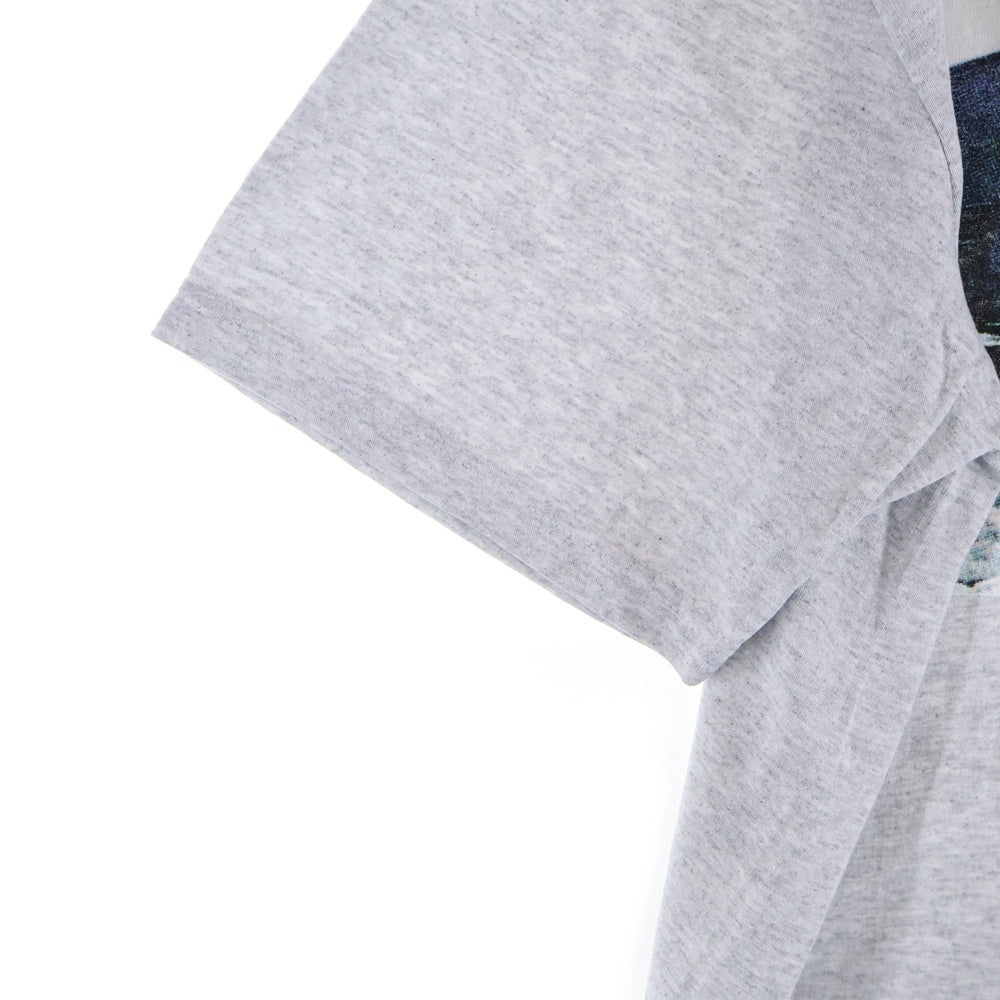SUPREME(シュプリーム) 24AW Day's End Tee デイズエンド フォトプリント クルーネック 半袖Tシャツ カットソー グレー